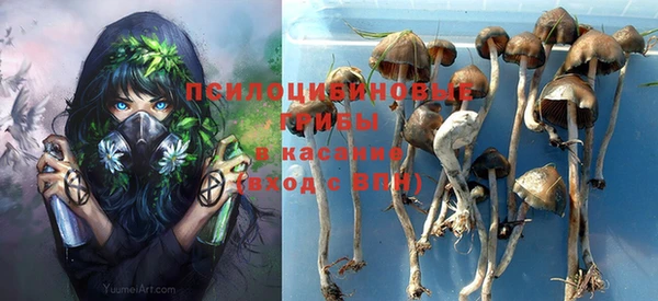 стафф Надым