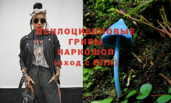 хмурый Балабаново