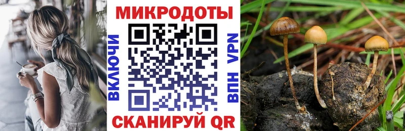 Галлюциногенные грибы Psilocybe  Удачный 