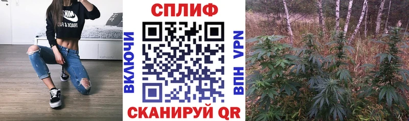 Каннабис индика  Удачный 